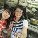 선우산장