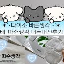 다이소 ㅣ배찜질추천템인 바른생각 배따순생각 내돈내산후기 (feat.생리통에효과좋은배찜질팩)