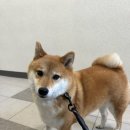 쌍암공원1 이미지