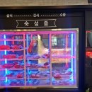 소소한우 이미지