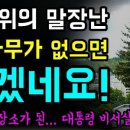 나무한그루 이미지