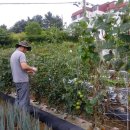 괴산농장 이미지