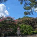 고려동 회관 이미지