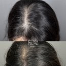 숲속마을2로 이미지