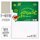 B19-1 이미지