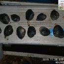 써니의 펜션 스토리 이미지