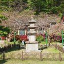 GS25늘푸른 | 충북 영동 가볼만한곳, 연꽃 품은 고요한 산사 '영동 반야사'