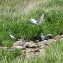 미리내캠프 이미지