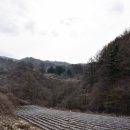 수도캠핑장 이미지