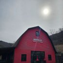 346 | ​[증평 맛집] 벨포레 리조트에서 즐기는 🐃 텍사스 바베큐! '브리스킷 346' 내돈내산 솔직후기