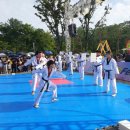 용인대청룡태권도장 이미지