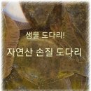 통영 산지직송! (깐멍게,피멍게,붕장어(손질),돌문어,도다리,우럭,반건조오징어) 판매~ 이미지