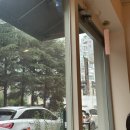 [대전 카페] 탄방동카페 틸로소피 본점(정함점) 애프터눈티세트 책읽기 좋은 홍차 전문카페