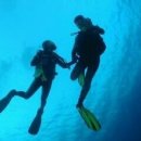 보물단지 이미지