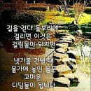 아름답개 이미지