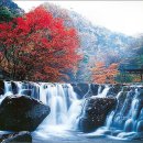 강천산(대구) 이미지