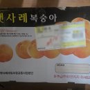 감곡 | 내돈내산 햇사레 감곡 복숭아 후기