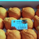 내혜홀농장 이미지