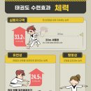 멘토 태권도장 이미지