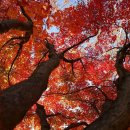 박동수외과의원 이미지