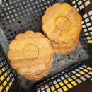 광주도평초등학교 병설유치원 이미지