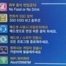 팽피시카페 이미지