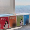 [WONY]5월의 일상 -1 | 반포대교 무지개분수, 뮤지컬 아이다, 닥터스트레인지, 어버이날 선물, 인도어...