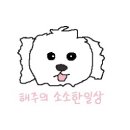 24시진양한돈가