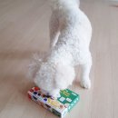 제주어류양식수산업협동조합 어류자원순환센터 | [강아지 화식 추천 · 프롬한라 오리지널 비건쿠키(과일)]강아지 알러지가 걱정되신다면 비건쿠키...