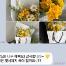 가만히꽃 이미지