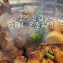돼지통역삼