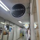 브로우본
