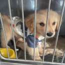 일죽종합동물병원 이미지