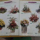 팔도화원 이미지