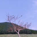 제주스토리투어 이미지