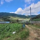 학산면 버스정류장 이미지