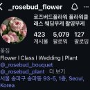 로즈버드플라워 | 로즈버드플라워｜송파동 최애 꽃집 추천