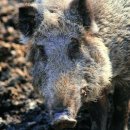 노원-상계-2265 이미지