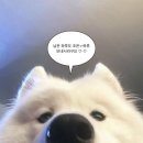 2025년 4월의 일상(1): 행복을 의심하지 말기