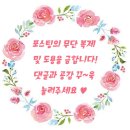 멍멍생푸드 강아지 생식 업체 솔직 후기 왕추천 커팅 굿