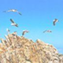 하월산리경로당 이미지