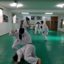 백인 합기도 이미지