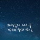 태권슐레 이미지