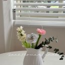 (원데이)히아시스 플라워 캔들 이미지