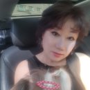 포유인셀덤 네이버블로그