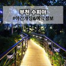 시민학습원 | 부천 수피아 야간개장 예약 없이 다녀온 후기 식물원 카페 정보