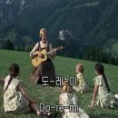 사운드오브뮤직 이미지