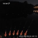 원줄농장 Daum카페