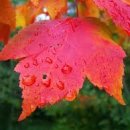 아동요리지도사 이미지