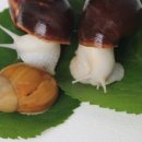 금와농장 이미지